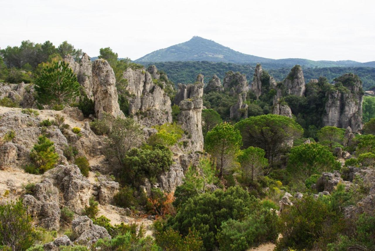 "Evasion"-Meuble De Tourisme 3 Etoiles -Residence "Les Logis De Beziers"-Garage Optionnel-Coeur De Ville-Plages A 16Km ! Zewnętrze zdjęcie